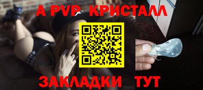 крисы Новозыбков