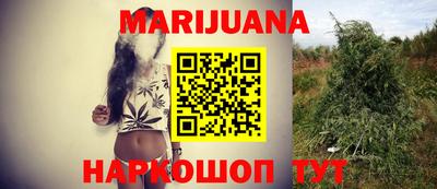крисы Новозыбков