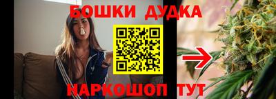 молекула духа Новодвинск