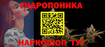 крисы Новозыбков