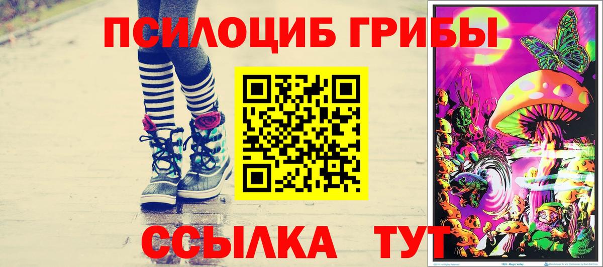 Галлюциногенные грибы мицелий Шелехов