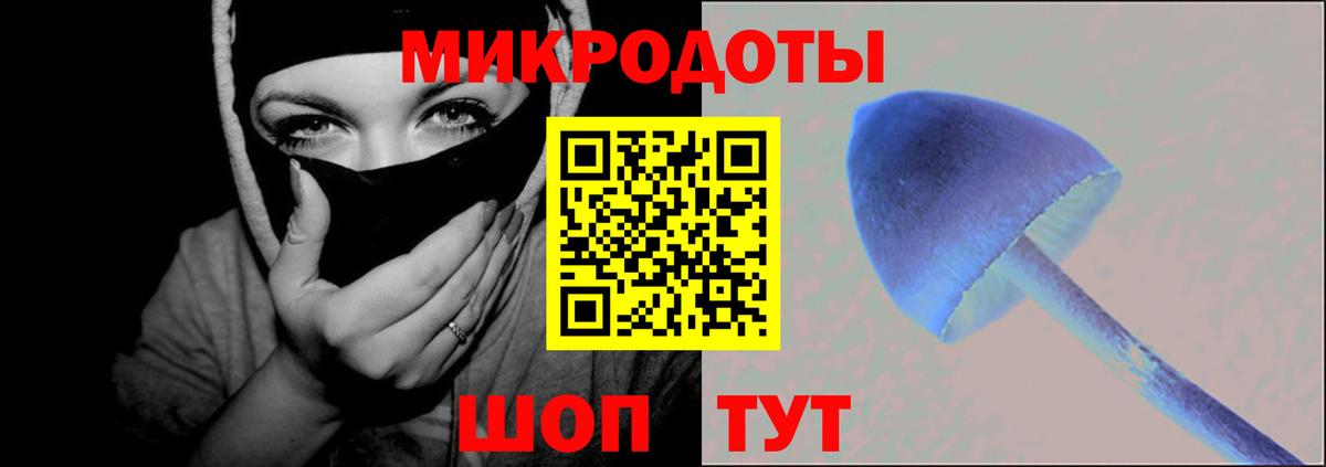 Галлюциногенные грибы Cubensis  Вход с VPN  дарнет шоп  Шелехов 